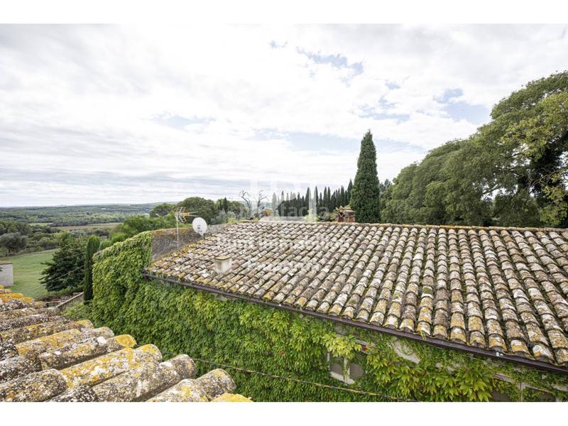 Foto 1ca996fd-ca26-4a62-9e8a-82709e01dcfd. Casale in Palau de Santa Eulàlia