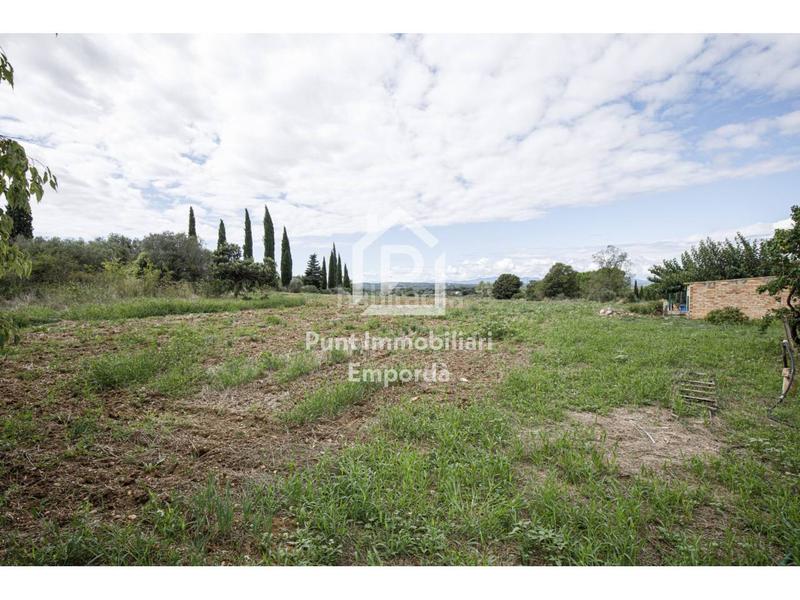 Foto d23b050f-c3e4-435b-947d-2e4b6da51c3d. Casale in Palau de Santa Eulàlia