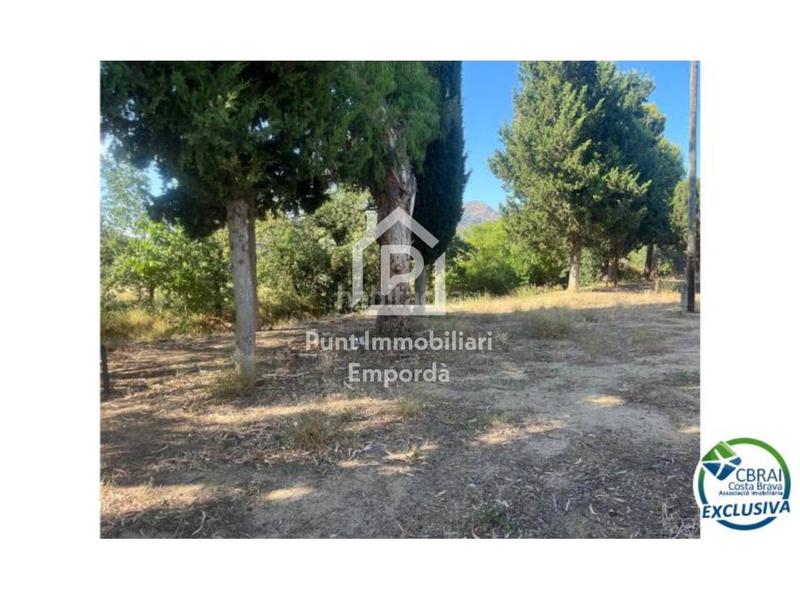 Foto 177c2ccb-65c1-4684-a864-8d6fbc5ef9c3. Maison avec parking dans Nord Roses