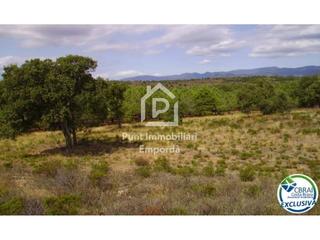 Finca rústica  Polígono butaros 181. Terreno rústico de 18000 m en garriguella