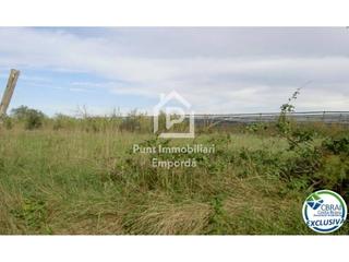 Finca rústica  Camino cortal vell 259. Terreno 5.000 m2.