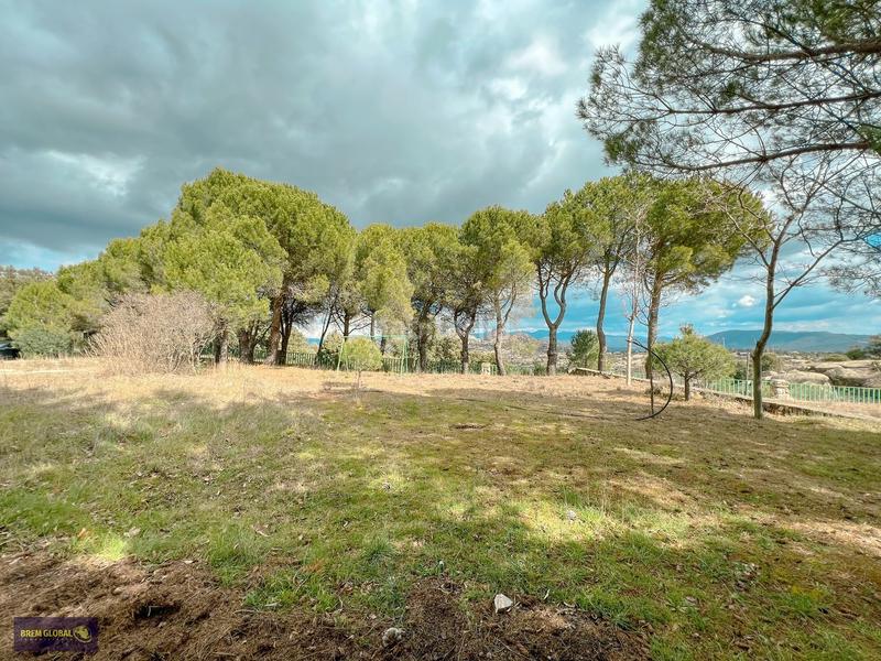 Foto c01a9d5b-a5bb-4e3d-9045-d36a95984067. Xalet a avenida de la cabrera 6 a Cabrera (La)