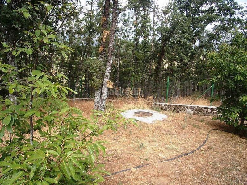 Foto 09771d3a-7b5d-4aef-865a-09d3892e0897. Nau industrial a Acebeda (La)