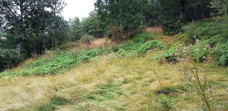 Foto 4d47a683-ad0c-44bb-9eaa-62687f62a06d. Nau industrial a Acebeda (La)