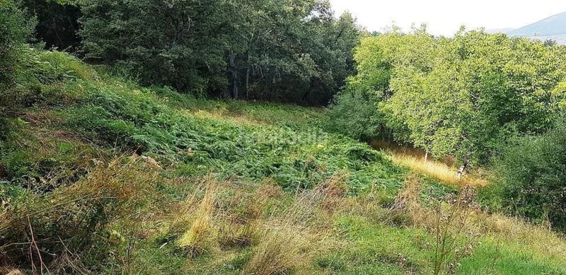 Foto 977412bb-7441-4a9b-b974-91a19b3c2b5a. Nau industrial a Acebeda (La)