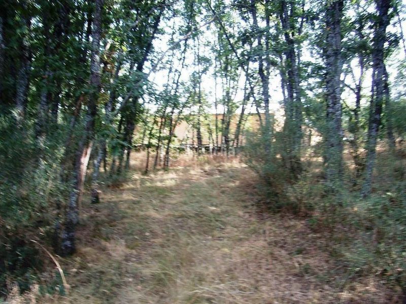 Foto f769bb0b-efea-4db8-aca8-c801d3fd424a. Nau industrial a Acebeda (La)