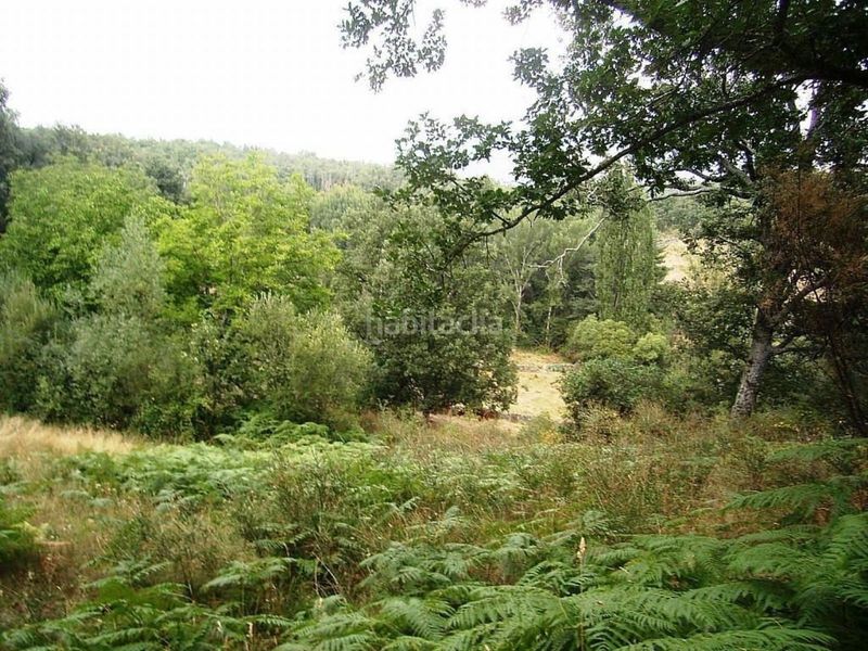 Foto fa0017a6-24bf-4459-84d5-a2b969021092. Nau industrial a Acebeda (La)