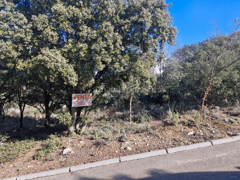 Foto f841f196-3240-4ea7-934f-ceaf5fbb5e18. Terreno residenziale in Hontoba