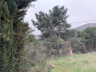 Terreno residencial en Abantos-Carmelitas. San lorenzo de el escorial/terreno