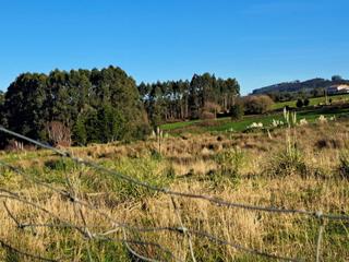 Terrain rsidentiel en Villaverde carenes. Villaviciosaterreno