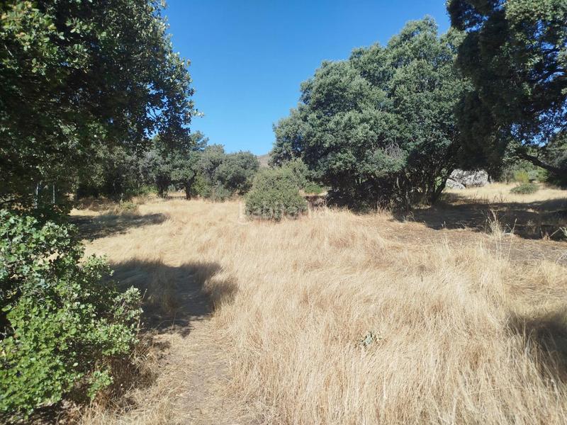 Foto 0d19c292-a9c3-427d-9bbe-fba8275b0b38. Masía de la olivafinca rustica en Fresnedilla