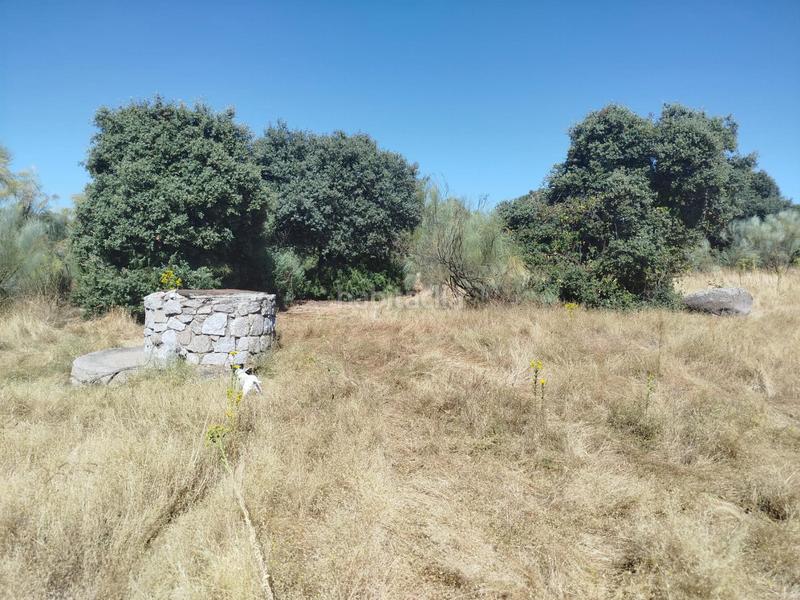 Foto c20609e6-c2e1-476f-8a7e-1fe4fd8b5a76. Masía de la olivafinca rustica en Fresnedilla