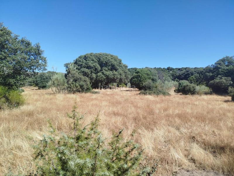 Foto e05b8ad1-7d31-41e0-9646-73ac7acdd6b5. Masía de la olivafinca rustica en Fresnedilla