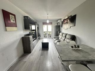 Dúplex a Centro-Manguilla. El escorialdúplex