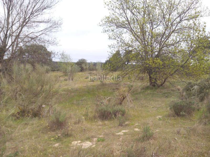 Foto 064dfc1f-1ae5-4ea4-bf46-dd96fc65244b. Fondo rustico in m-507 20 in Aldea del Fresno