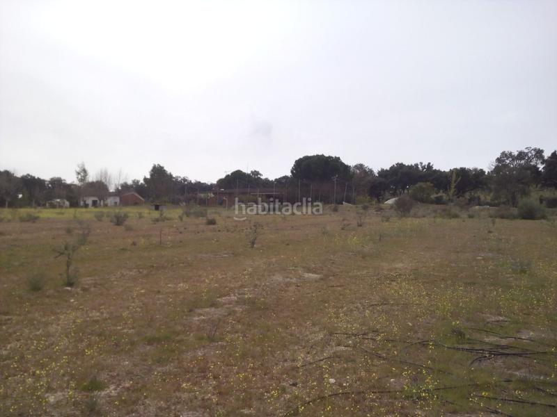 Foto 20c08ad0-9ef0-41af-9a9b-5d6b62f62b3e. Fondo rustico in m-507 20 in Aldea del Fresno