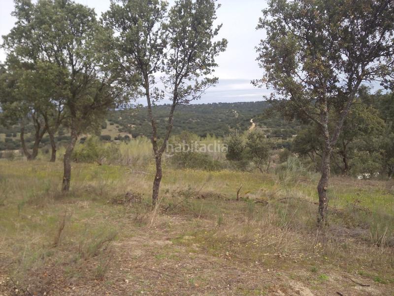 Foto 291fe00b-11e5-4aad-8afd-3acfc9bd2da2. Fondo rustico in m-507 20 in Aldea del Fresno