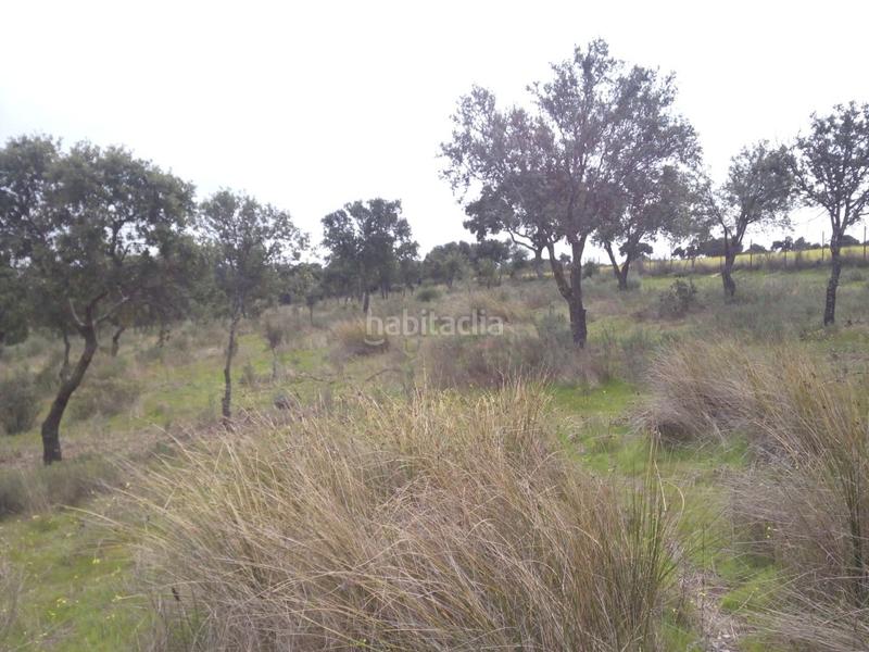 Foto 3cc1d121-3e0e-4e10-9377-7b66e923cab2. Fondo rustico in m-507 20 in Aldea del Fresno