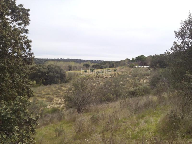 Foto 45bbd1f6-63c8-4e9b-b293-35a67429bc63. Fondo rustico in m-507 20 in Aldea del Fresno