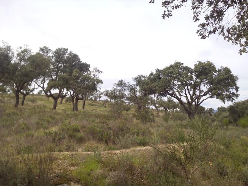 Foto 479268b5-7eb3-437a-a8dc-edd5bc2067a3. Fondo rustico in m-507 20 in Aldea del Fresno