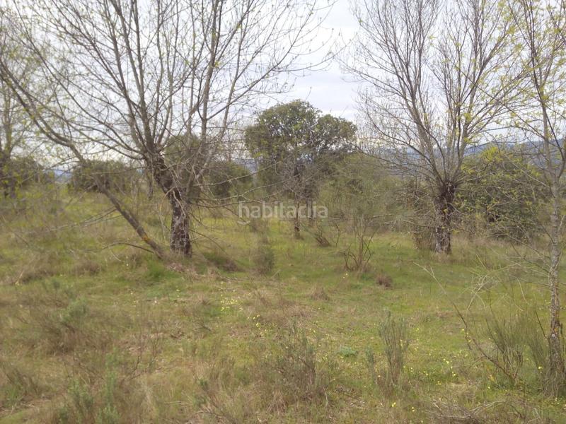 Foto 6625c5b9-d03e-4baf-b383-a4abd27a16be. Fondo rustico in m-507 20 in Aldea del Fresno