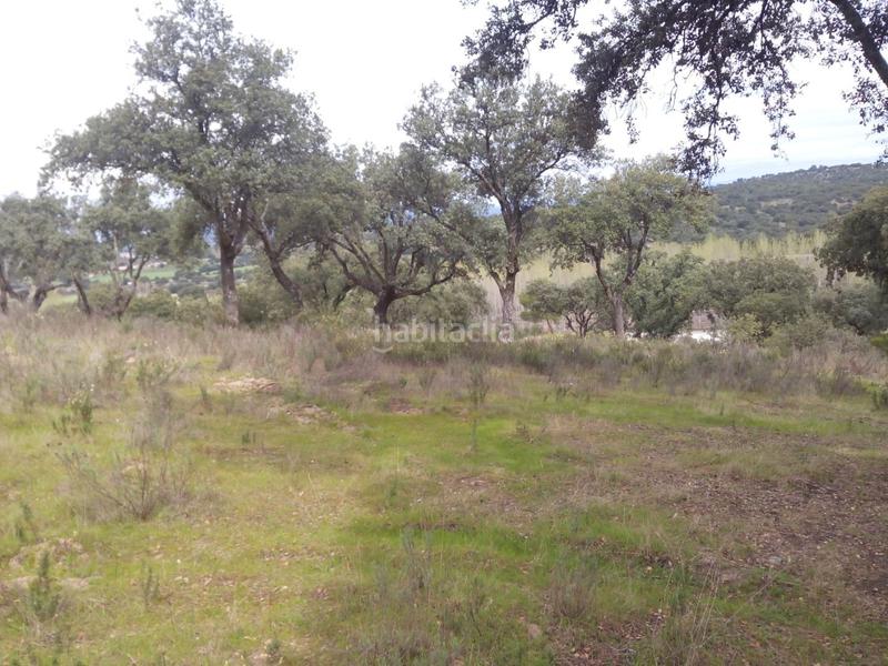 Foto 9a85da9b-4cbf-497b-88b1-b20d76c72fc6. Fondo rustico in m-507 20 in Aldea del Fresno