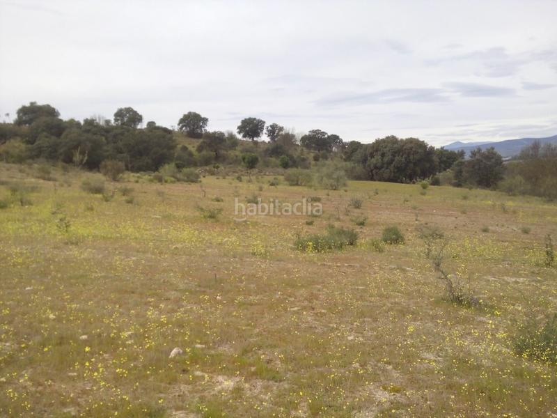 Foto 9ccc625d-3d74-4168-a028-a30a1832c646. Fondo rustico in m-507 20 in Aldea del Fresno