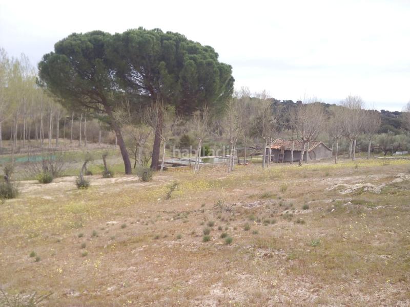 Foto 9dff5630-2b68-4a2a-900a-0a1bb493fdc3. Fondo rustico in m-507 20 in Aldea del Fresno