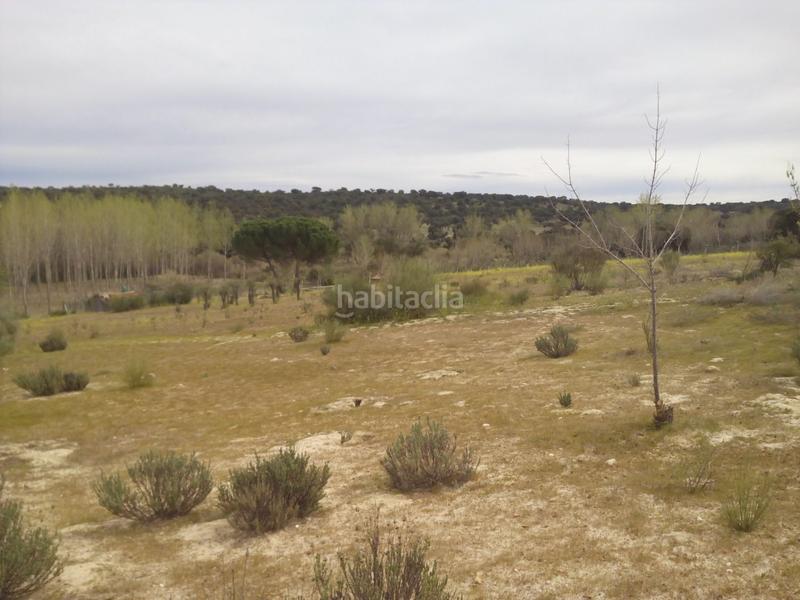 Foto bc5ba4d8-8d52-4da1-9033-905b48e96c36. Fondo rustico in m-507 20 in Aldea del Fresno