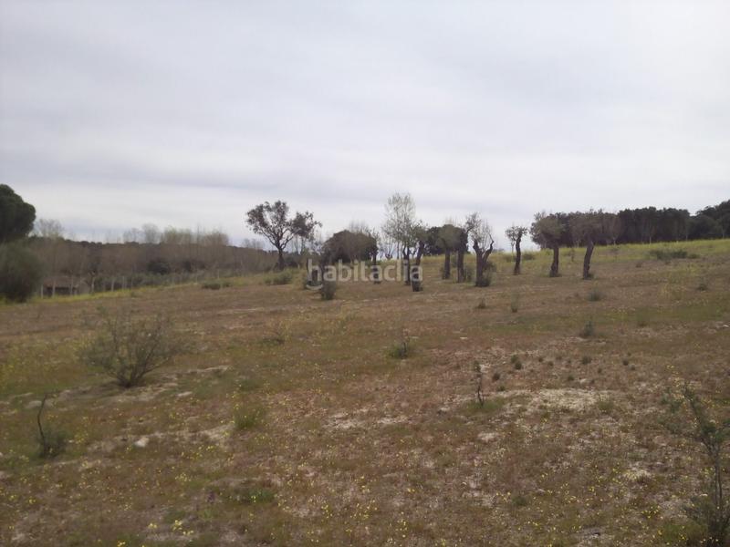 Foto c6a6455a-727c-4c64-8163-62f861c83c76. Fondo rustico in m-507 20 in Aldea del Fresno