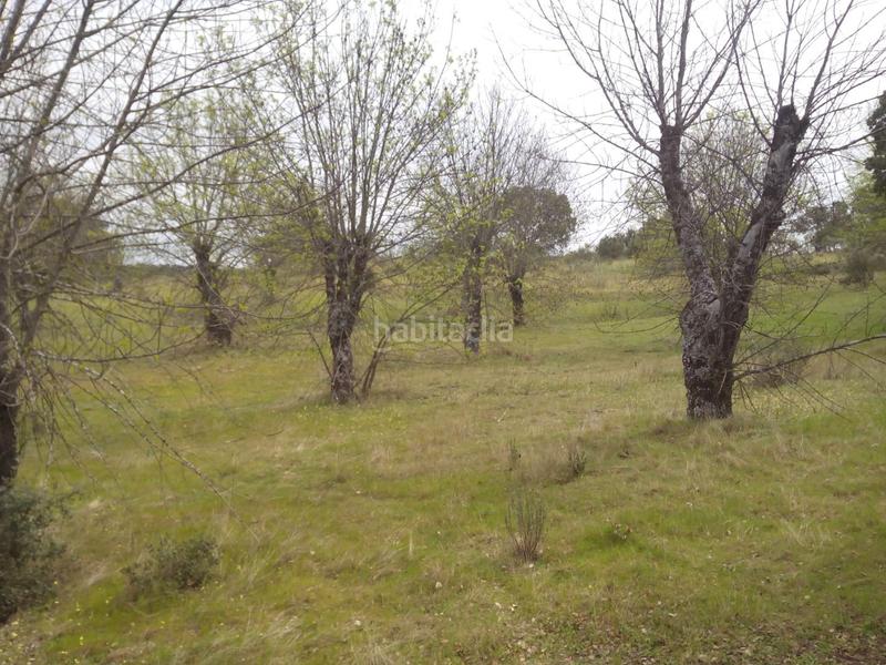 Foto fac35619-d990-449c-b7e9-b0b6327d0f24. Fondo rustico in m-507 20 in Aldea del Fresno