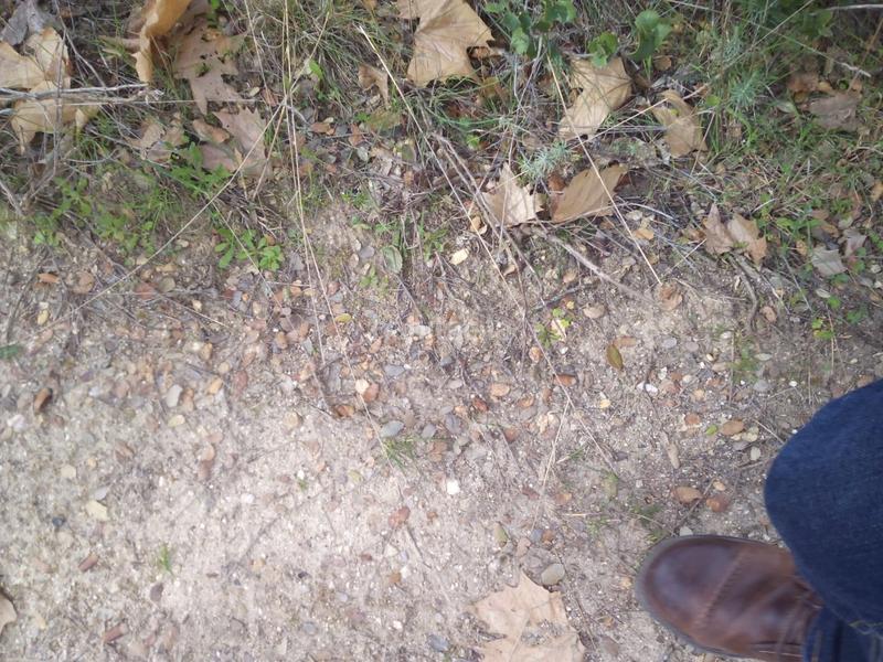 Foto fc144869-f1c0-46a7-a507-7aa613e1191e. Fondo rustico in m-507 20 in Aldea del Fresno