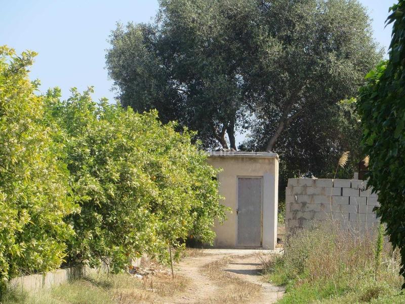 Foto 754ba0cd-648f-4237-88fb-03ae14765a43. Chalet  en venta , valencia en Oliva pueblo Oliva