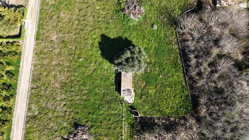 Foto bcb94d75-da04-46ef-bf50-c2a3d13fa5d5. Fondo rustico in Oliva pueblo Oliva