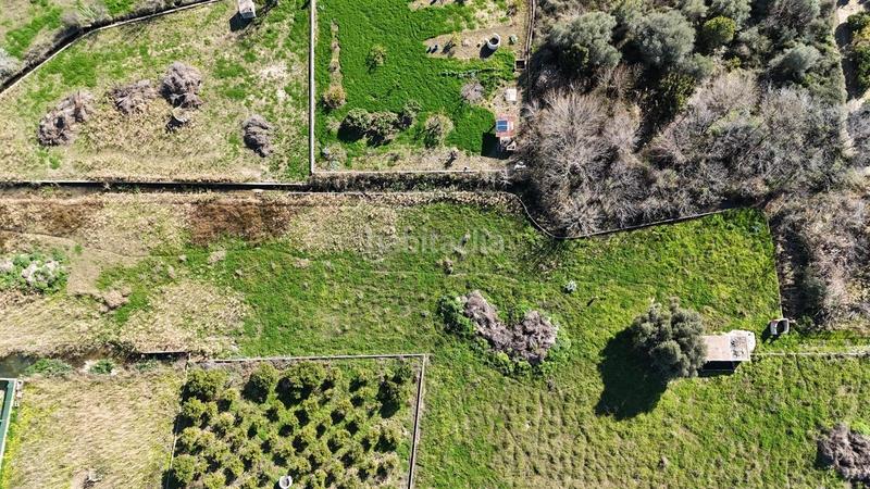 Foto ecc78b88-d7cf-4afa-8b34-ac35bd69c046. Fondo rustico in Oliva pueblo Oliva