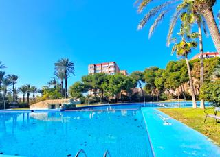 Etagenwohnung en Palmeral. Excelente vivienda en urbanizacin el palmeral