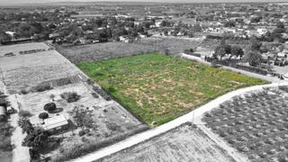 Rural plot  Polígono parcela 157. Terreno de 10.000 metros en elche