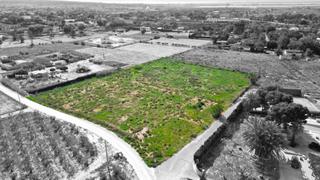 Finca rústica  Polígono parcela 157. Terreno en elche
