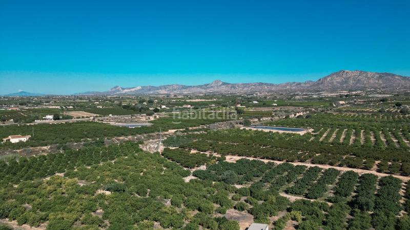 Foto eb7ed17c-6c33-4508-8b4b-2eb0ae993a62. Casa adossada a Albatera