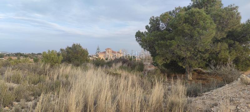 Foto 5ed443a9-2833-47da-87df-9616dae07ce9. Residential plot in Peña de las Águilas Elche / Elx