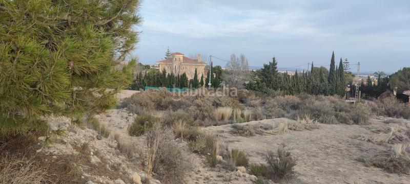 Foto 800869dd-e241-436f-89b7-f299e0233d62. Residential plot in Peña de las Águilas Elche / Elx