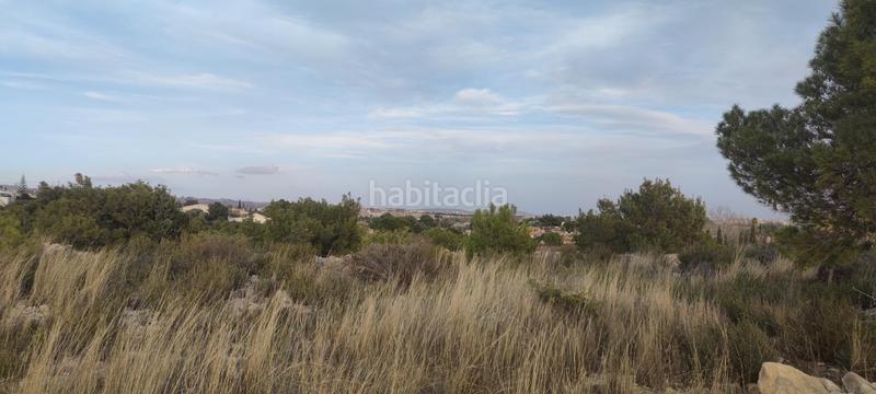 Foto 8dd13433-43d3-408e-b317-80a6cf0875b0. Residential plot in Peña de las Águilas Elche / Elx