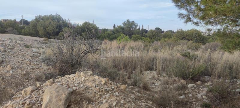 Foto abf73d22-2dde-4a20-870e-16ec4ef091f9. Residential plot in Peña de las Águilas Elche / Elx