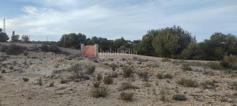 Foto bae67394-b66f-40a7-90ab-055d5ca3b09b. Residential plot in Peña de las Águilas Elche / Elx