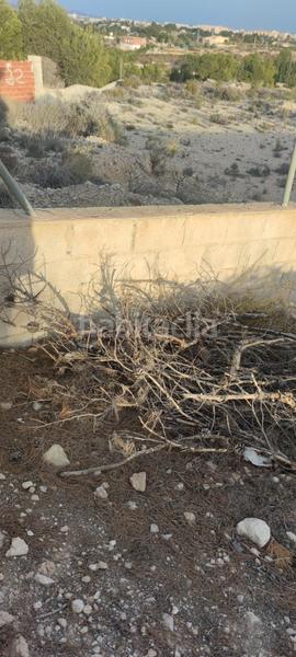 Foto ddc26ccb-d7de-4350-a046-caabdeb8ff03. Residential plot in Peña de las Águilas Elche / Elx