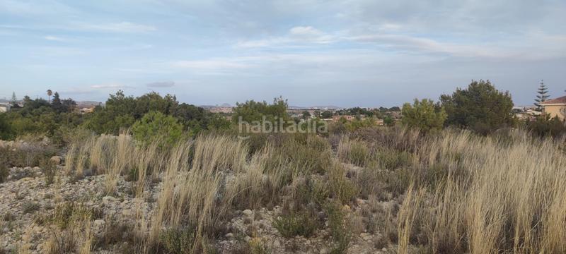 Foto ddcd16ec-4ad8-46d6-9397-ba66e3e56c8c. Residential plot in Peña de las Águilas Elche / Elx