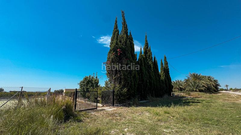 Foto eeca7025-cce5-438a-b047-5ee11f4aaea6. Finca rústica terreno en Crevillente