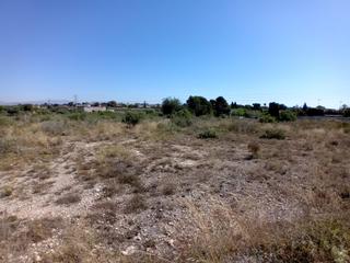 Finca rústica  Partida valverde bajo. Terreno en elche