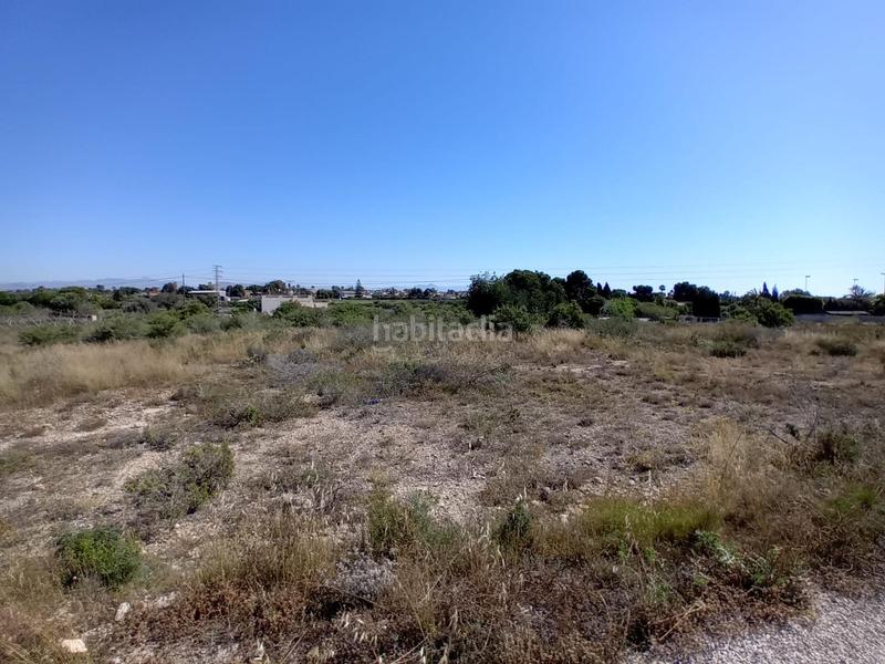 Foto 047ef8b7-50f6-48af-abbd-9f4ba118f04c. Finca rústica terreno en Valverde, elche en Valverde Elche / Elx