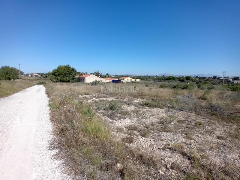 Foto 0a594a1b-4905-45c8-a522-7e276f433c8e. Finca rústica terreno en Valverde, elche en Valverde Elche / Elx